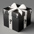 Mystery Box 
(Car Entry)
